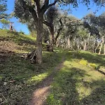 Feriehus Vue & Corse De Reve A Pied En Famille Ou Entre Amis 5 Grand Confort Perla Di Verghia Soleil & Detente