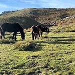Feriehus Vue & Corse De Reve A Pied En Famille Ou Entre Amis 5 Grand Confort Perla Di Verghia Soleil & Detente